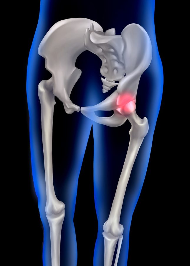 anatomy 9769766 1280