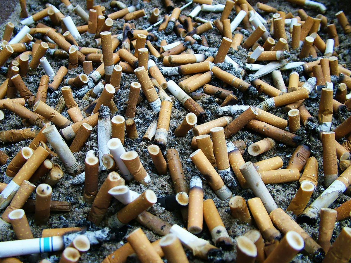 Used cigarette butts highlighting the health risks and the easy way to quit smoking"