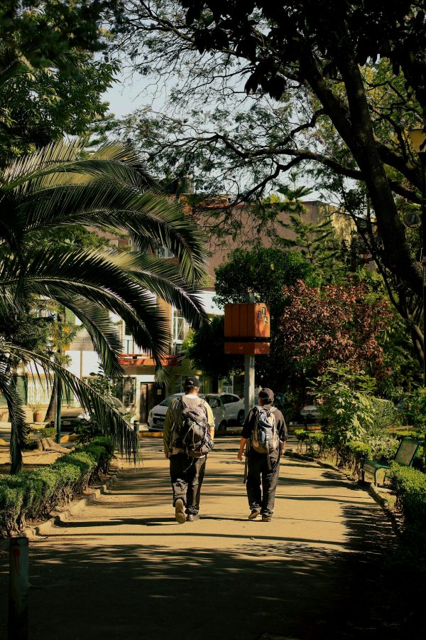 what truly brings joy in life after 40