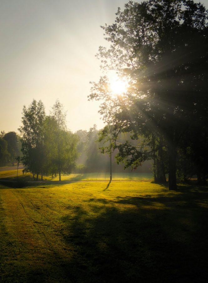 what truly brings joy in life after 40