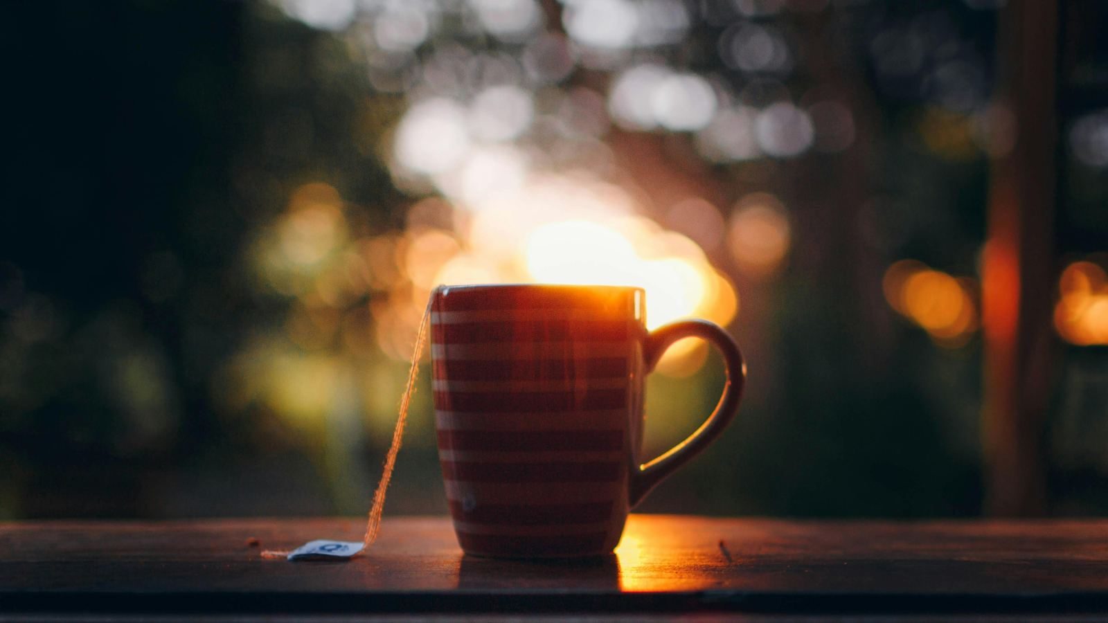 evening tea by the window reduces sensory load